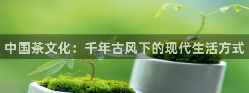 鸿运通平台客服
