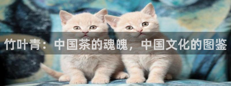 鸿运到游戏平台