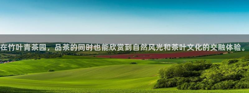 鸿运平台入口