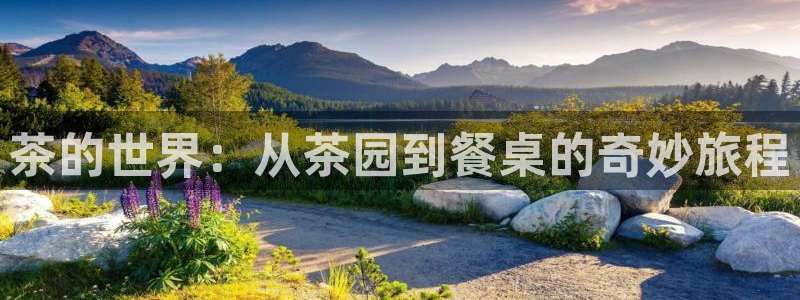 鸿运福彩平台