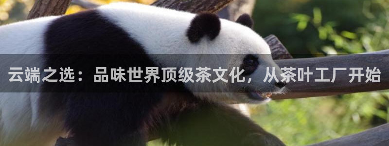 鸿运最新平台