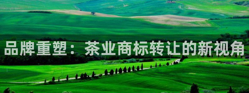 鸿运娱平台