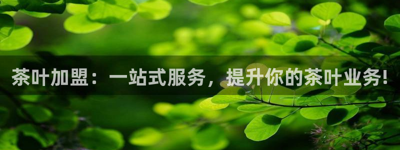 鸿运来投资平台