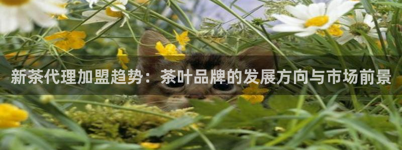 鸿运平台兼职招聘
