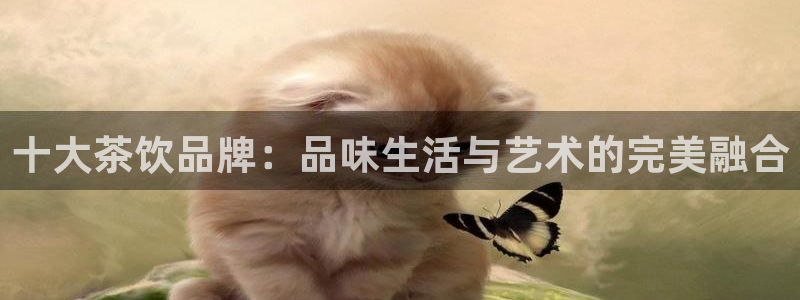 鸿运满堂网上平台
