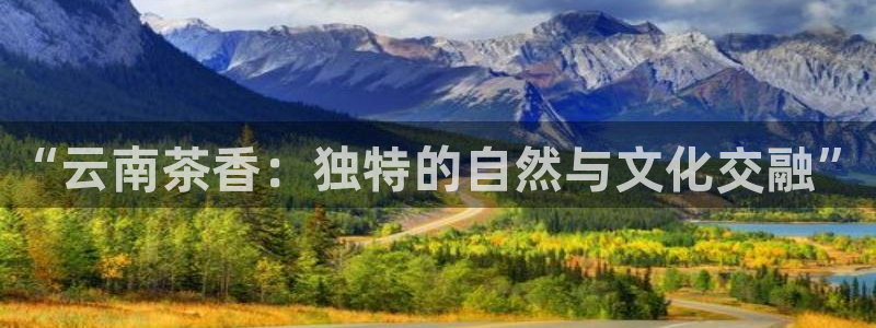 鸿运平台试玩