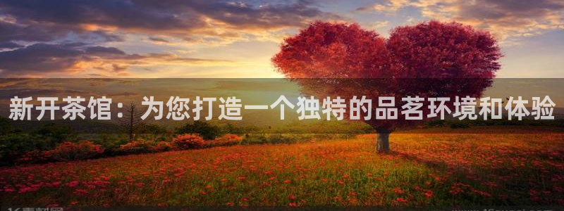 香港鸿运投资平台