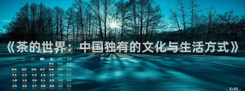 香港鸿运投资平台