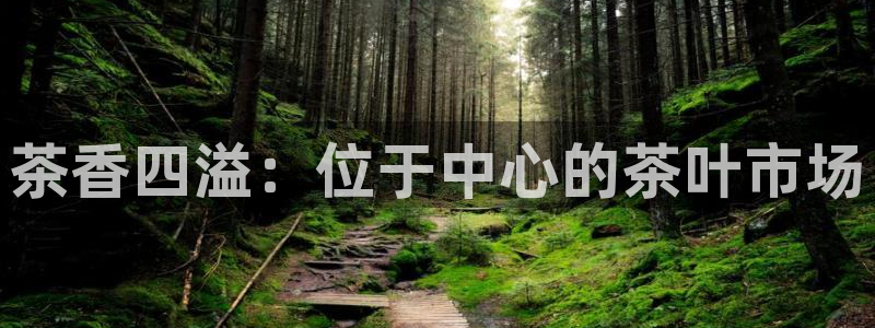 大发鸿运彩票平台