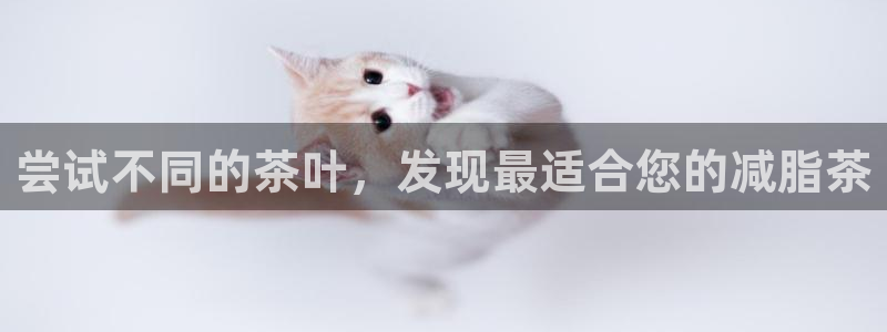 鸿运注册平台是什么