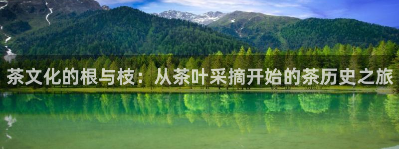 鸿运国际娱平台