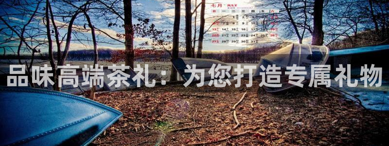 鸿运军团平台被骗