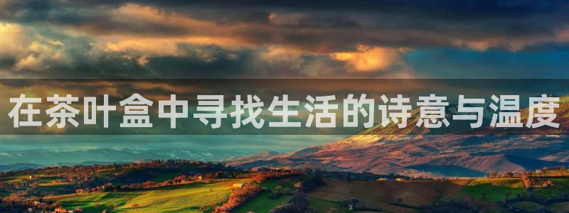 鸿运当头社交平台