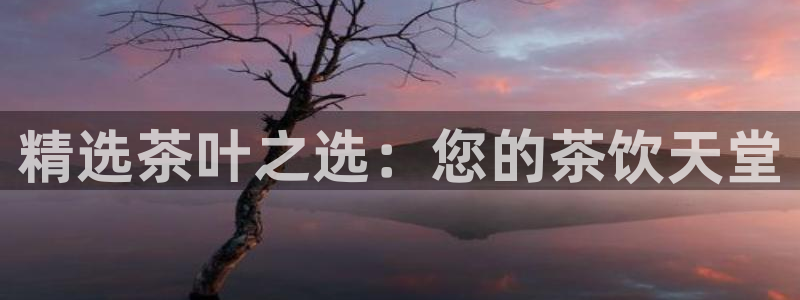 鸿运当头购物平台