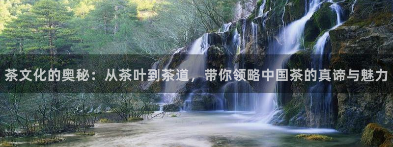 鸿运彩票平台登录不了