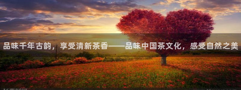 鸿运平台是骗局吗