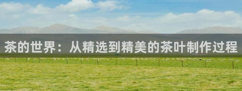鸿运物业信誉平台