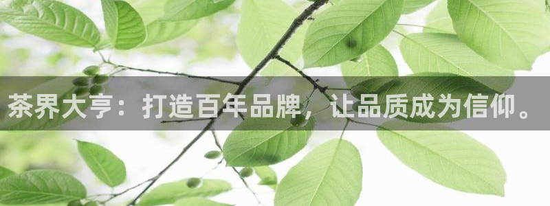 鸿运合拍是什么平台