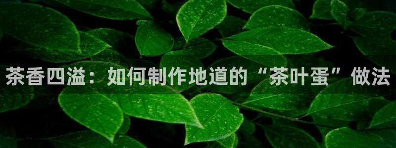 鸿运平台是干嘛的