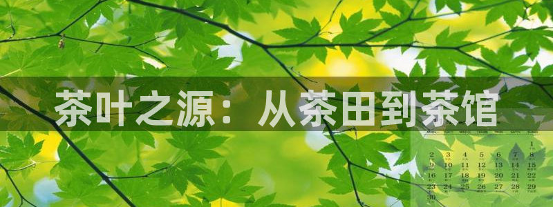 鸿运直播平台游戏