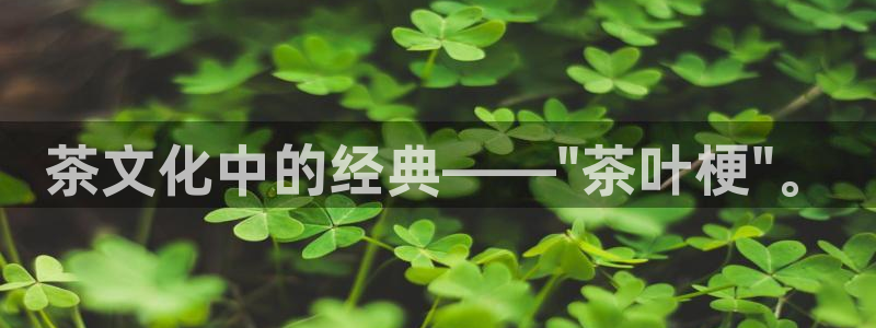 鸿运彩票平台带玩