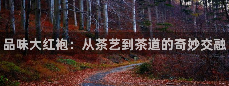 鸿运物流直播平台