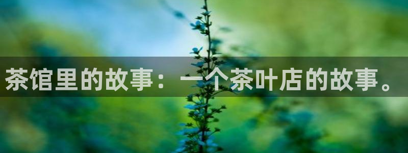 鸿运东方平台网站