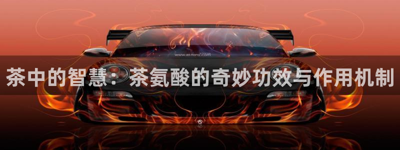 鸿运注册平台是什么