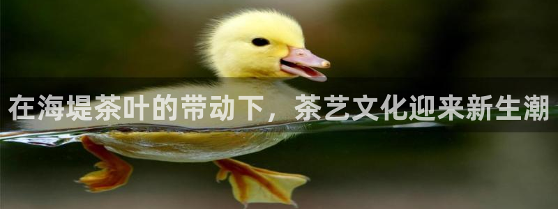 鸿运官网平台登录