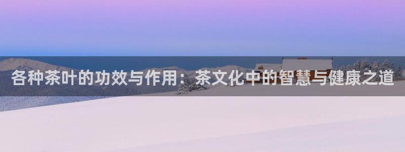 鸿运公司有哪些平台