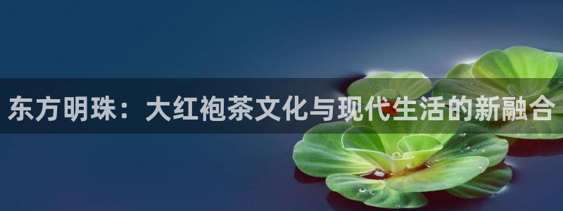 鸿运彩票平台违法吗