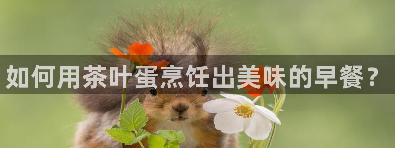 鸿运抽奖是什么平台