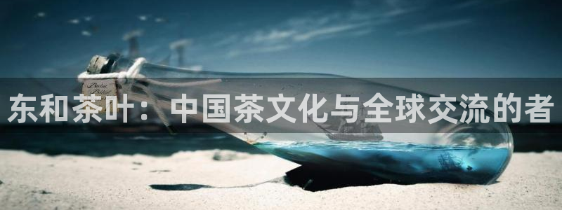 盛世鸿运是什么平台