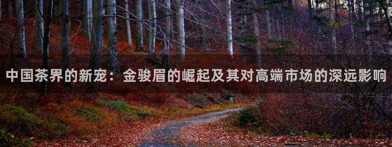 鸿运物流诚信经营平台