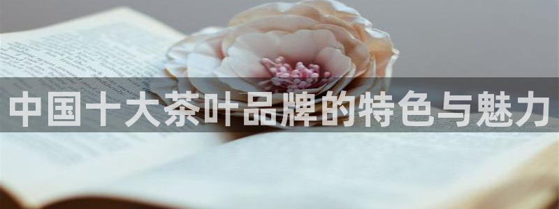 鸿运到平台注册