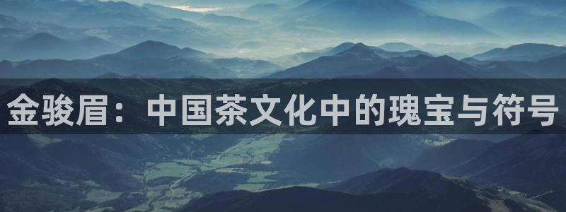 鸿运串串团购平台