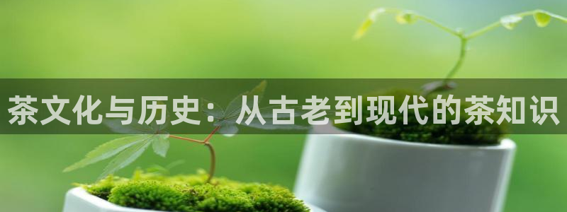 鸿运app直播平台