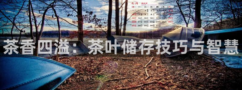 琥珀鸿运平台多久了