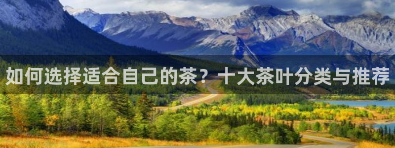 鸿运到平台在线客服