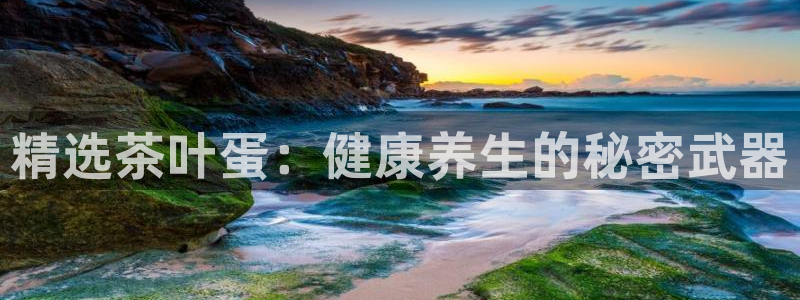 鸿运赌场开户平台