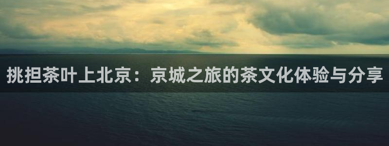 鸿运彩票平台带玩