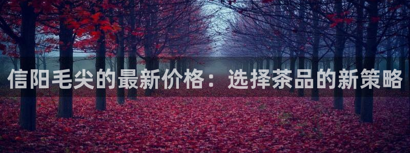 鸿运满堂团购平台