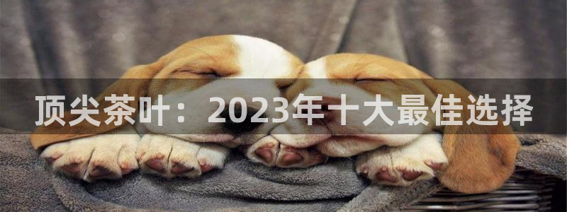 鸿运彩票注册平台