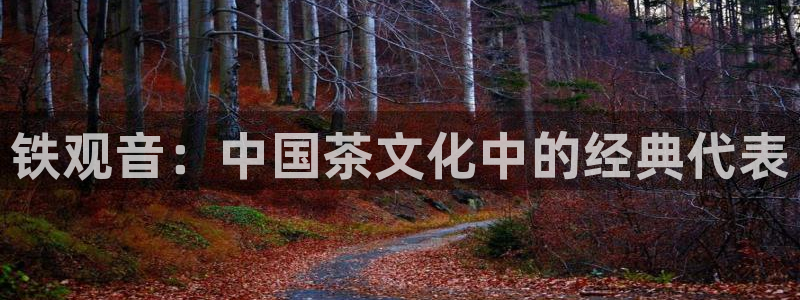 鸿运棋牌app平台