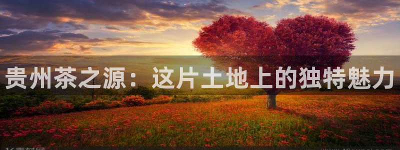 鸿运国际平台平