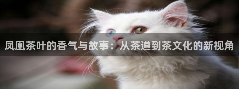 鸿运达出票平台