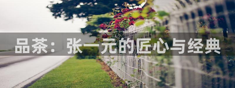 鸿运国际赌场平台