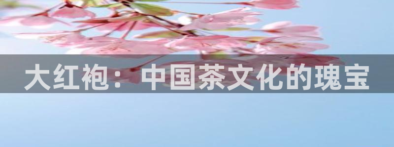 鸿运直播平台下载