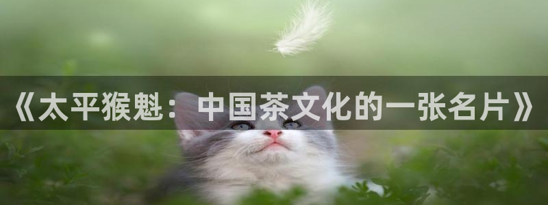 香港鸿运是什么平台