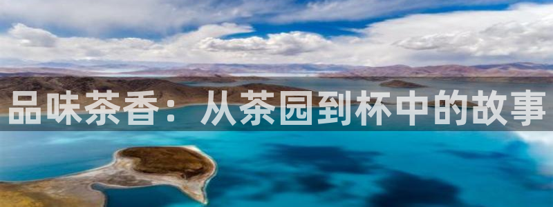 鸿运到平台在线客服